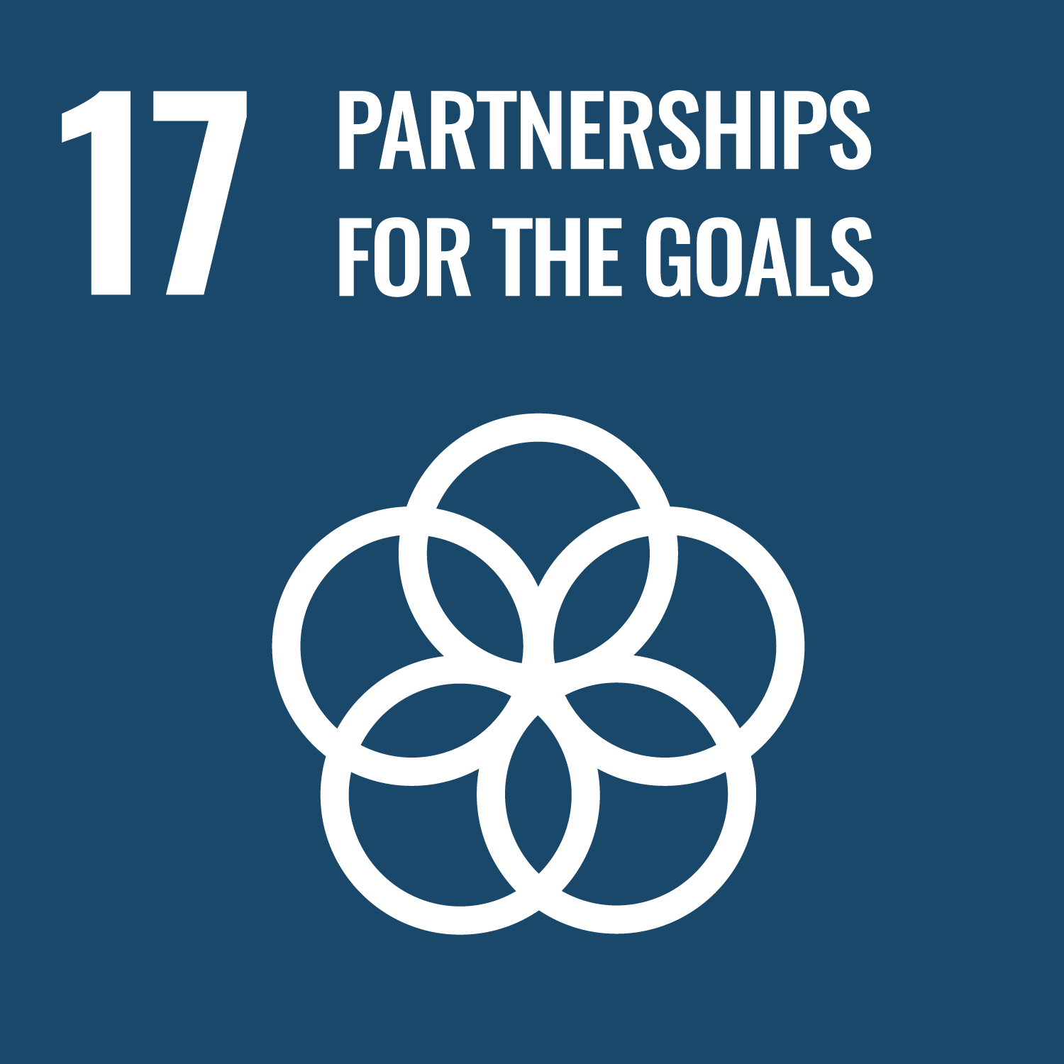United Nations Sustainable Development Goal 17 icon